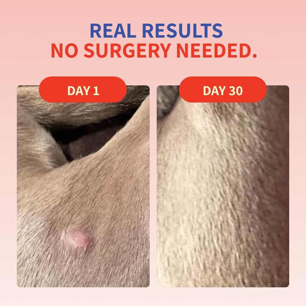 Transform Your Dog's Health and Happiness Today!