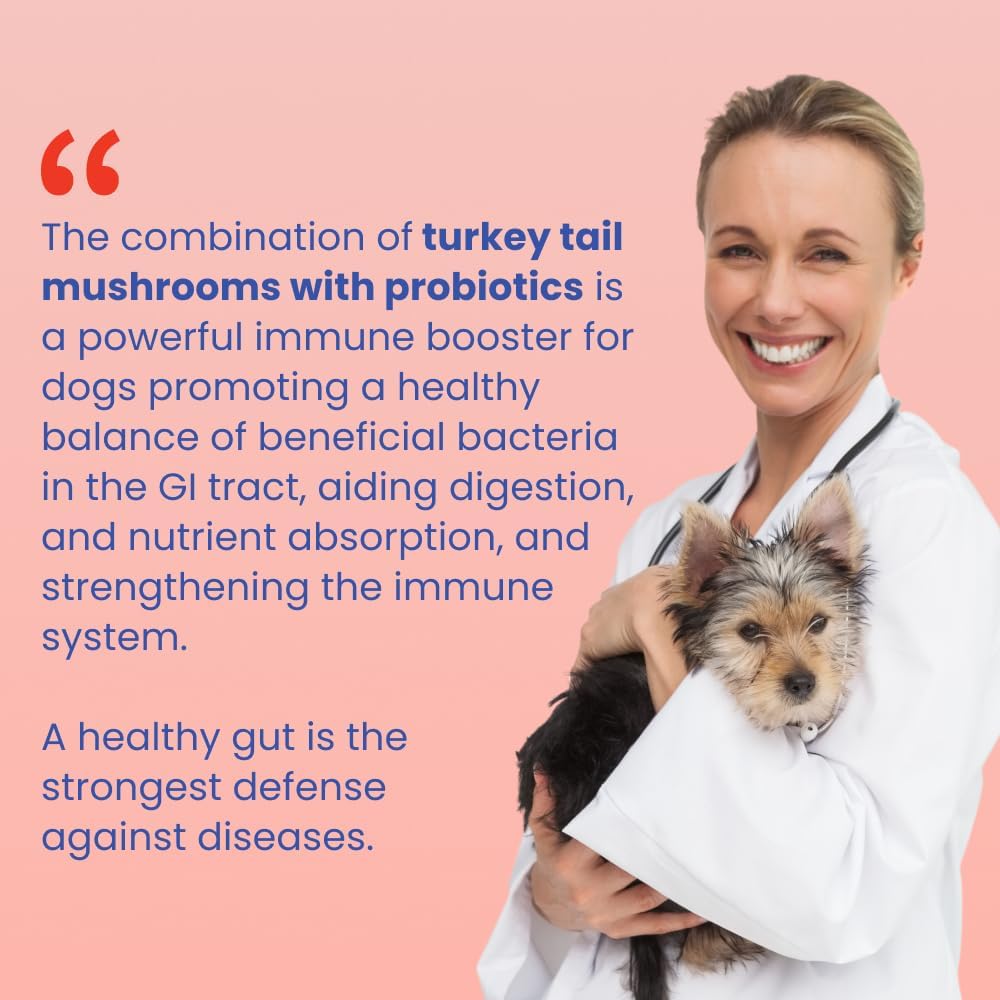 Turkey Tail Mushroom+ Wellness Supplement
