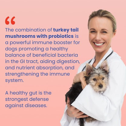 Turkey Tail Mushroom+ Wellness Supplement