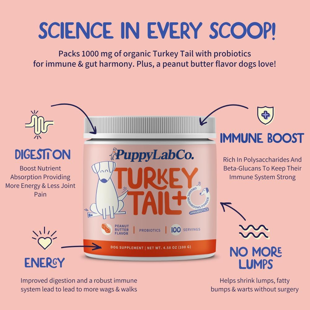 Turkey Tail Mushroom+ Wellness Supplement
