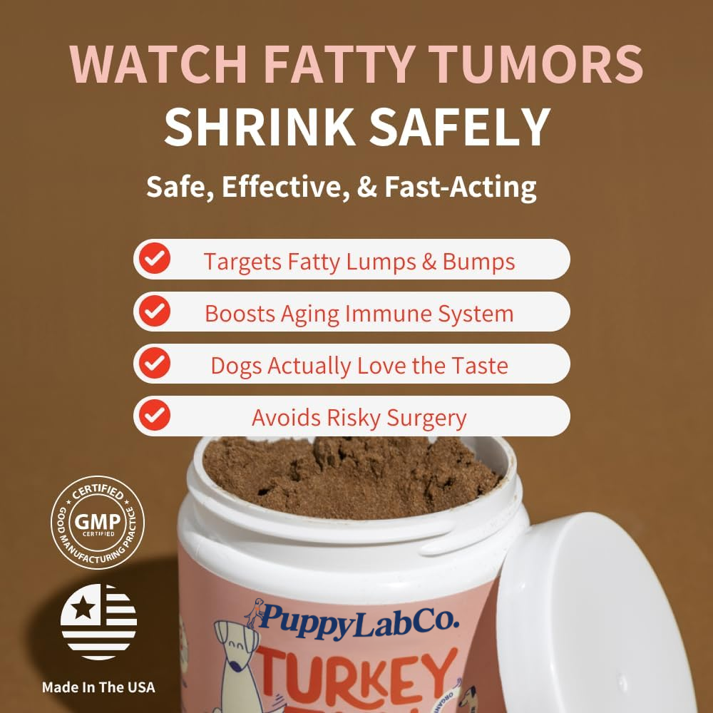 Turkey Tail Mushroom+ Wellness Supplement