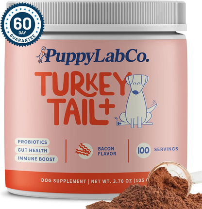 Turkey Tail Mushroom+ Wellness Supplement